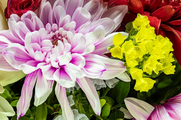 Un ramo de flores de gerberas, crisantemos, lirios. De cerca. Disparo macro.