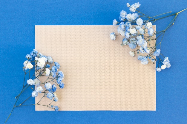 Ramo de flores de gypsophila blanco-azul. Lugar para su texto, copie el espacio. Hermoso fondo delicado para letras, postal.