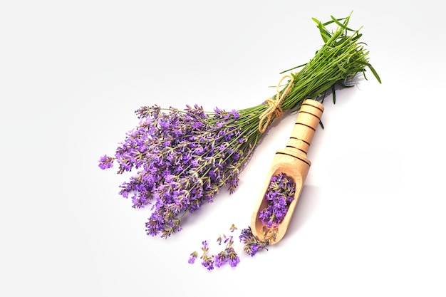 Ramo de flores de lavanda aislado sobre fondo blanco.