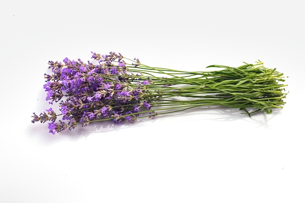 Ramo de flores de lavanda aislado sobre superficie blanca.