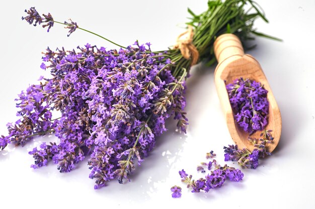 Ramo de flores de lavanda aislado