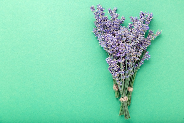 Ramo de flores de lavanda fresca sobre fondo de color con espacio de copia