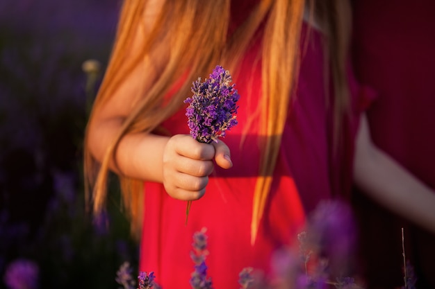 Ramo de flores de lavanda en la mano de un niño