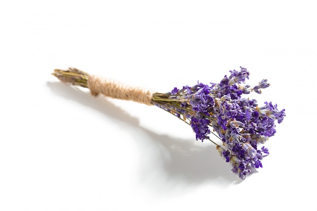 Ramo de flores de lavanda