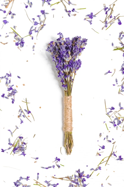 Ramo de flores de lavanda