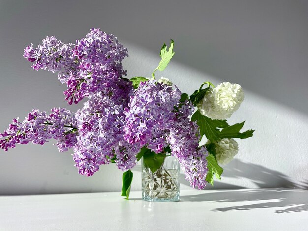 Un ramo de flores de lila púrpura en flor y una inflorescencia de viburnum blanco sobre un fondo gris