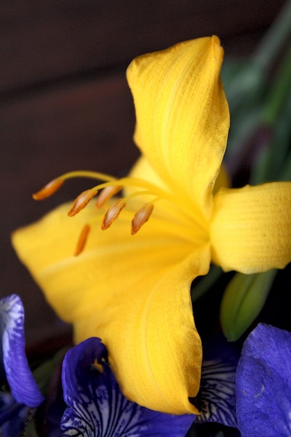 Foto ramo de flores de lirio de lirio.