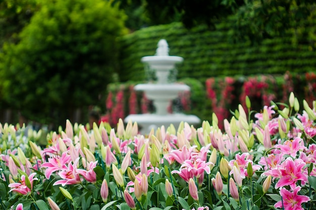 Ramo de flores de lirios en el jardín