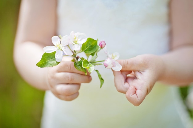 Ramo de flores de manzana de primavera en las manos de las niñas sobre fondo verde Imagen de primer plano