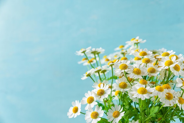 Ramo de flores de manzanilla blanca fondo azul ion con espacio de copia Día de la mujer o concepto de boda