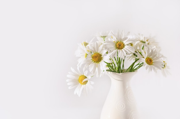 Foto ramo de flores de manzanilla de campo en florero sobre fondo blanco. copie el espacio. ramo de flores de manzanilla de campo en florero sobre fondo blanco. copie el espacio. enfoque selectivo. hermoso fondo floral.