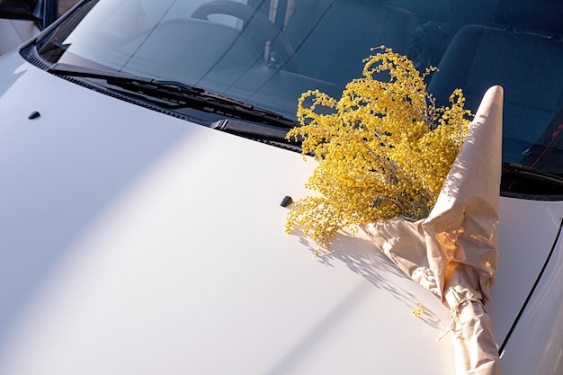 Ramo de flores de mimosa amarilla en el capó del coche blanco