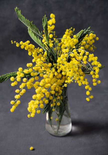 Un ramo de flores de mimosa amarillas se encuentra en un jarrón de vidrio sobre un fondo gris oscuro