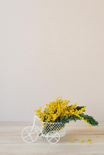 Ramo de flores de mimosa amarillas en un jarrón decorativo para bicicletas El concepto del Día de la Mujer o el Día de la Madre con un espacio para copiar