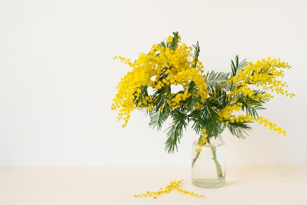 Un ramo de flores de mimosa amarillas en un jarrón de vidrio El concepto de la primavera de las mujeres o el día de la madre Tarjeta de felicitación con espacio para copiar