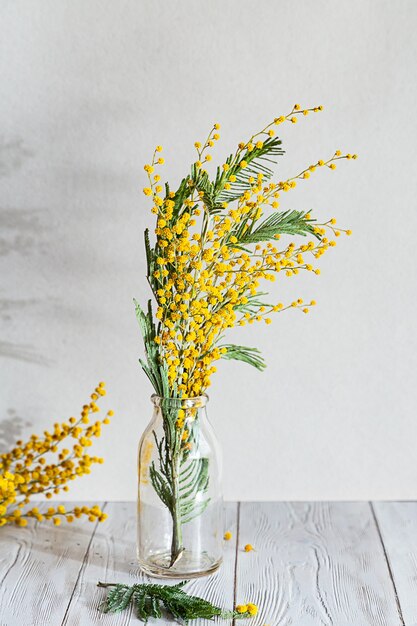 Un ramo de flores de mimosa en un jarrón de vidrio.