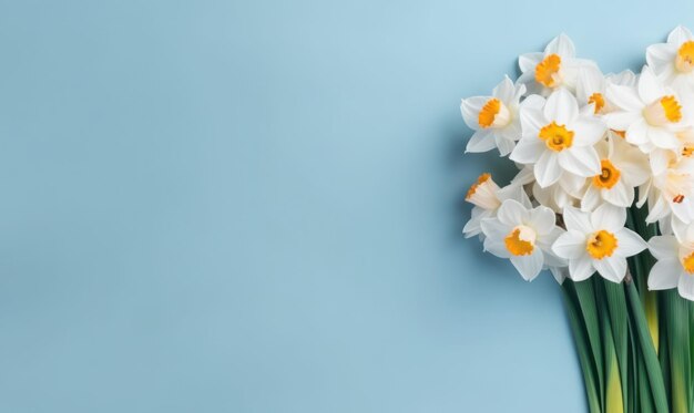 Un ramo de flores de narciso en un fondo azul pastel con espacio de copia vacío concepto de Día de la Madre colocación plana creado con herramientas de IA generativas
