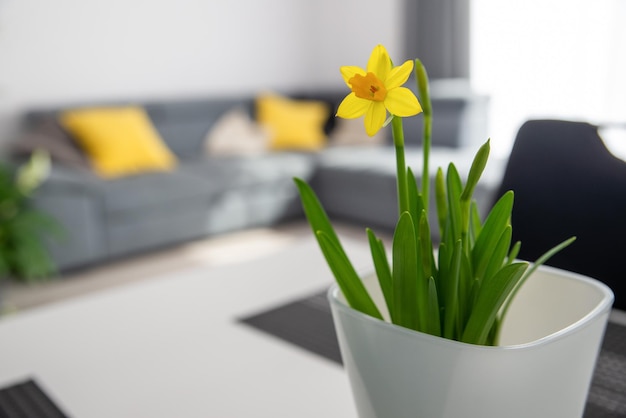 Ramo de flores de narciso en una mesa