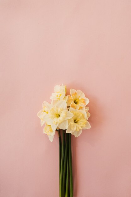 Ramo de flores de narciso en rosa