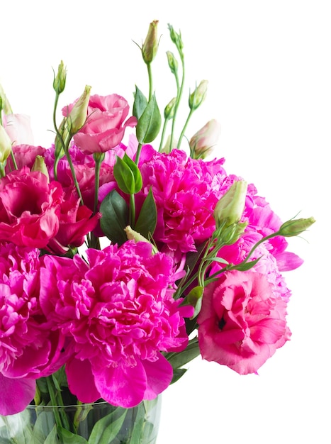 Ramo de flores de peonía rosa brillante y eustoma en maceta azul aislado sobre fondo blanco.