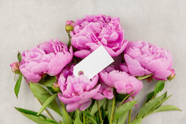 Ramo de flores de peonías rosas con etiqueta en blanco sobre fondo de hormigón gris. San Valentín, mujeres, día de la madre, pascua, cumpleaños o boda, plano de vacaciones de primavera. Vista superior. Copie el espacio.