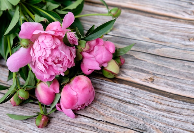 Un ramo de flores de peonías rosas.