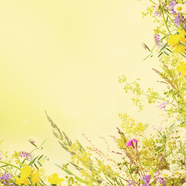 Ramo de flores de pradera de verano con espacio de copia, fondo texturizado grunge floral dorado