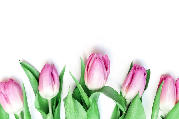 Ramo de flores de primavera, tulipanes rosados sobre fondo blanco con espacio de copia