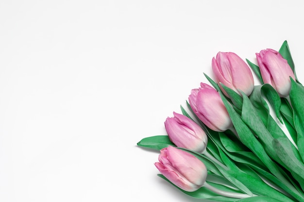 Ramo de flores de primavera, tulipanes rosados sobre fondo blanco con espacio de copia