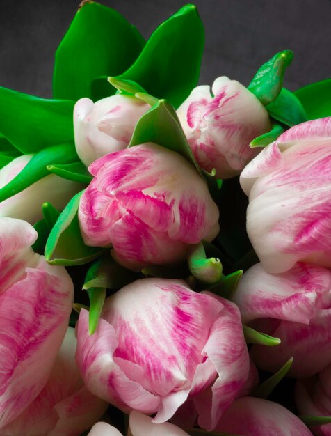 Ramo de flores de primavera tulipanes rosas tarjeta navideña para el 8 de marzo día de San Valentín o día de la madre