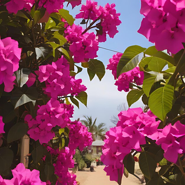 un ramo de flores púrpuras con una palmera en el fondo