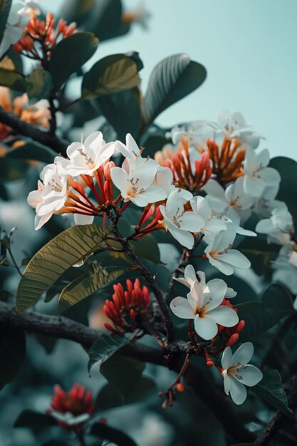 un ramo de flores que están en un árbol