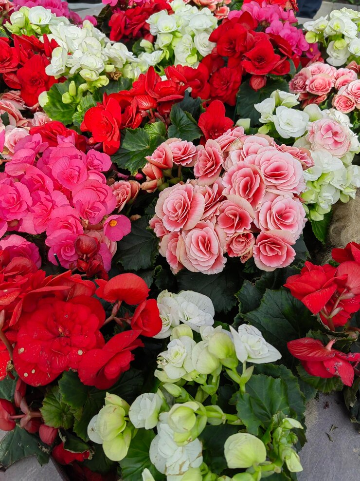 un ramo de flores que están en una canasta