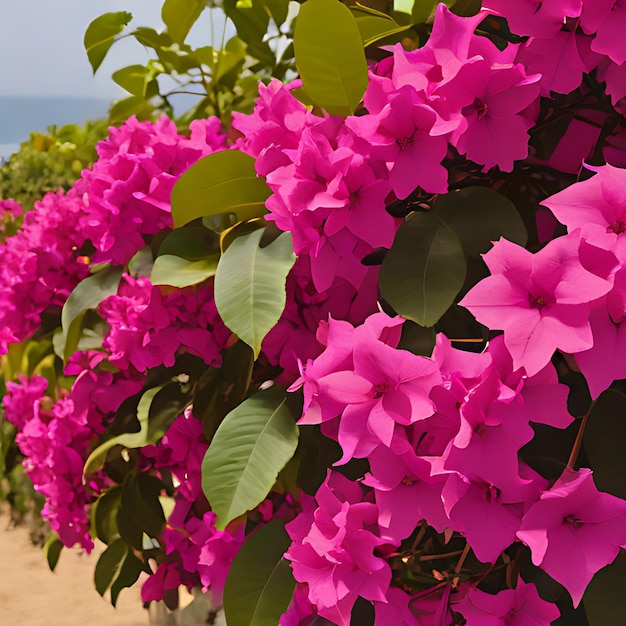 un ramo de flores que están en una fila