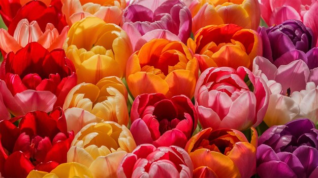 un ramo de flores que están en un ramo