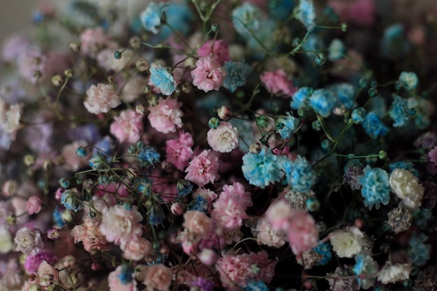 Un ramo de flores que son de color rosa, azul y blanco.