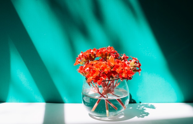 Ramo de flores rojas en florero con agua.