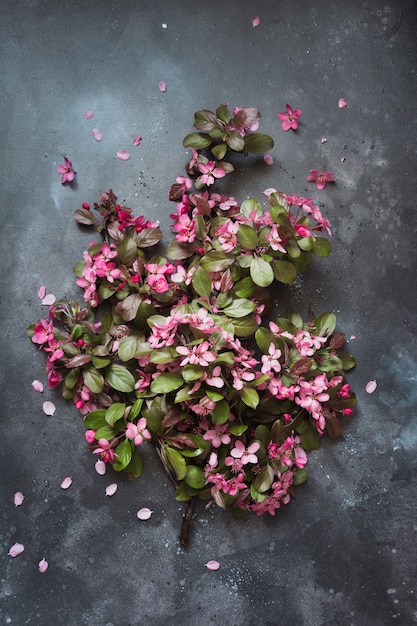 Ramo de flores rosadas del árbol frutal floreciente en la tabla de la vendimia.