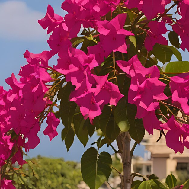 Foto un ramo de flores rosadas que están afuera