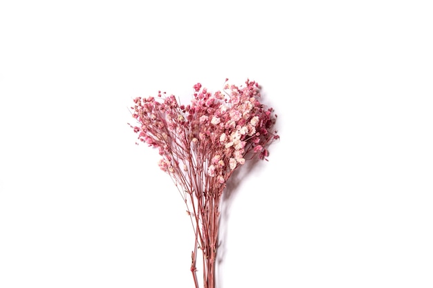 ramo de flores rosadas sobre fondo blanco