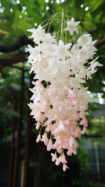 Un ramo de flores rosas colgando de un árbol