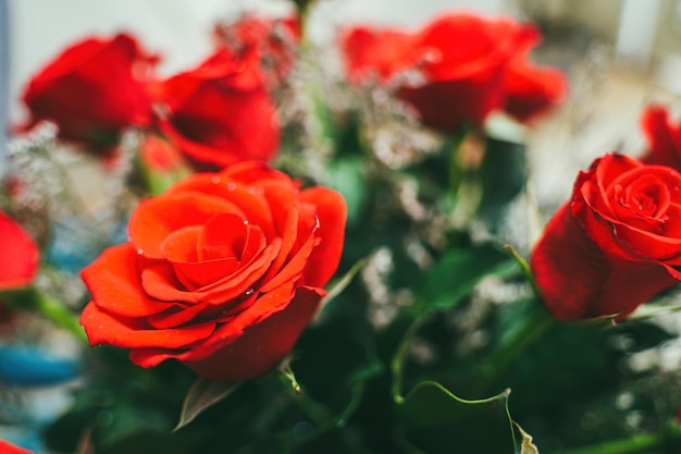 Ramo de flores de rosas rojas frescas fondo brillante