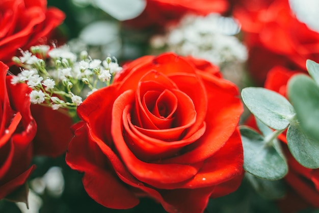 Ramo de flores de rosas rojas frescas fondo brillante