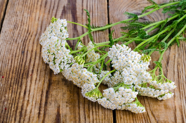 Ramo de flores silvestres con inflorescencias blancas en mesa de madera