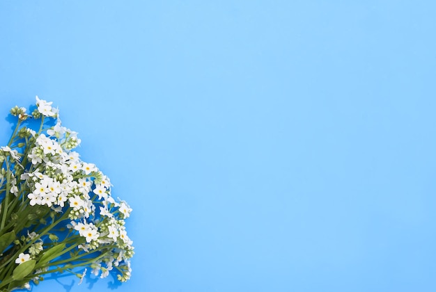 Ramo de flores silvestres sobre fondo de papel azul suave Nomeolvides planta con flores azules y blancas Espacio de copia Diseño de banner de cartel de tarjeta floral