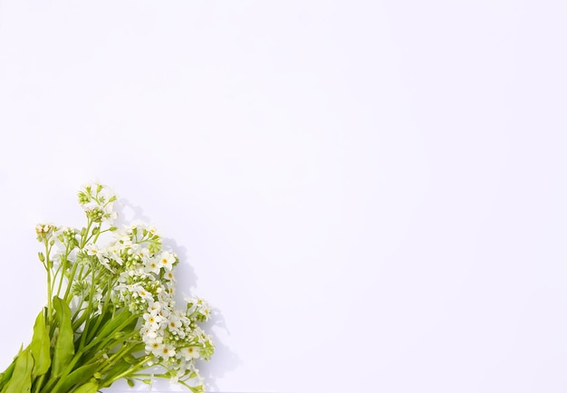 Ramo de flores silvestres sobre fondo de papel suave Planta de nomeolvides con flores azules y blancas Espacio de copia Diseño de banner de cartel de tarjeta floral