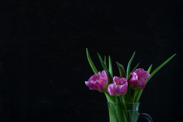 Ramo de flores de tulipán rosa fresco en un frasco de vidrio sobre fondo oscuro