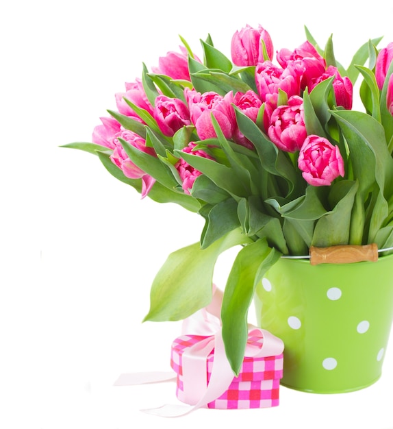 Ramo de flores de tulipán rosa en maceta verde con caja de regalo aislado sobre fondo blanco.