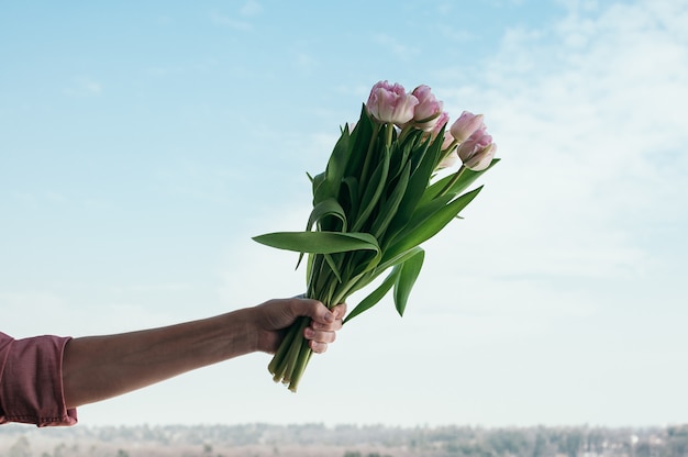 ramo de flores de tulipán rosa en mano masculina contra el cielo azul