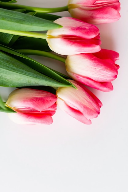 Ramo de flores de tulipán rosa sobre fondo blanco Vista plana superior Enfoque selectivo